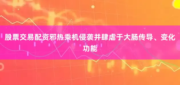 股票交易配资邪热乘机侵袭并肆虐于大肠传导、变化功能