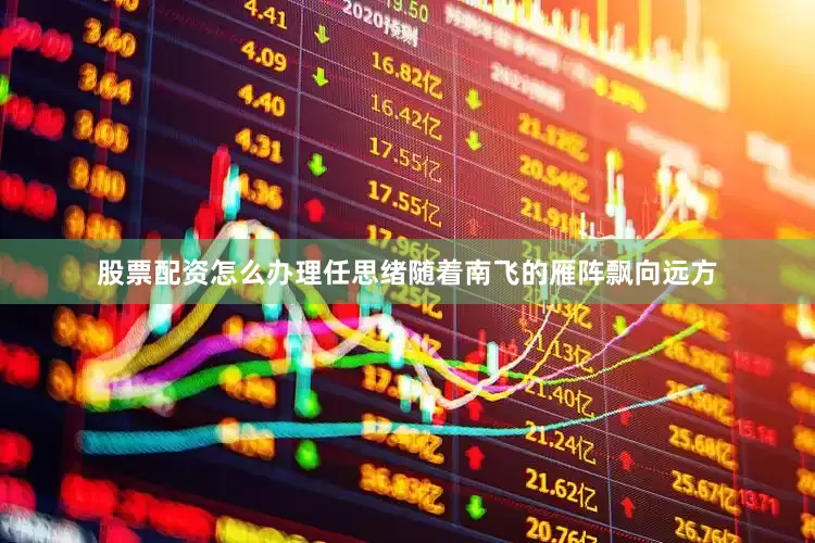 股票配资怎么办理任思绪随着南飞的雁阵飘向远方